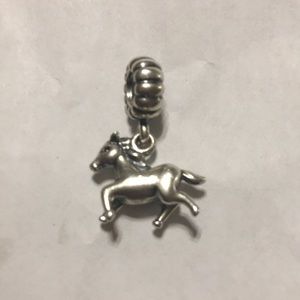 Pandora Charm